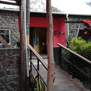  Хостел Galapagos Morning Glory